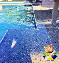 a swimming pool with a crocodile next to it